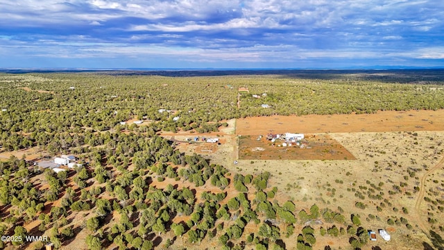 TBD Flake Rd Unit 5.08, Acres, Aripine, AZ 85933 - photo 11