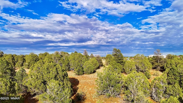 TBD Flake Rd Unit 5.08, Acres, Aripine, AZ 85933 - photo 13