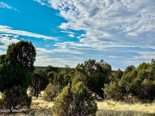 TBD Flake Rd Unit 5.08, Acres, Aripine, AZ 85933 - photo 8