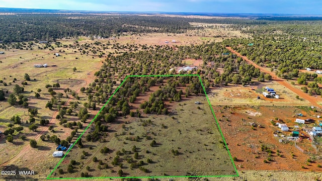 TBD Flake Rd Unit 5.08, Acres, Aripine, AZ 85933 - photo 3