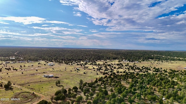 TBD Flake Rd Unit 5.08, Acres, Aripine, AZ 85933 - photo 16