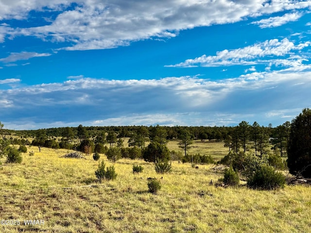 TBD Flake Rd Unit 5.08, Acres, Aripine, AZ 85933 - photo 27