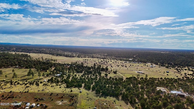 TBD Flake Rd Unit 5.08, Acres, Aripine, AZ 85933 - photo 22