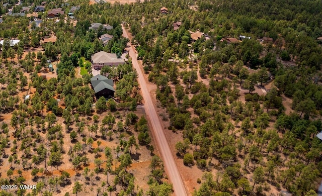 2581 Tall Pine Rd, Show Low, AZ 85901 - photo 13