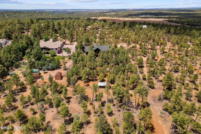 2581 Tall Pine Rd, Show Low, AZ 85901 - photo 6