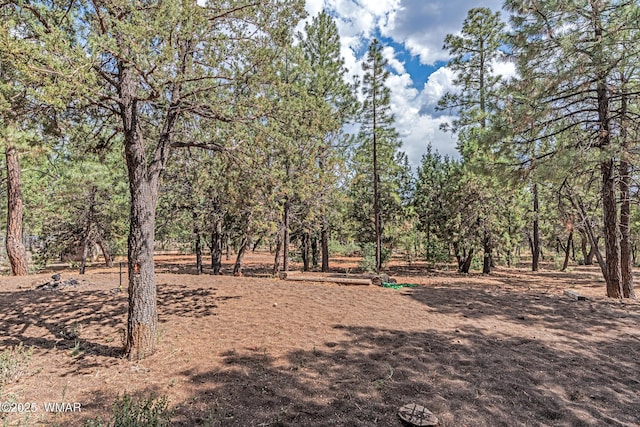 2581 Tall Pine Rd, Show Low, AZ 85901 - photo 32