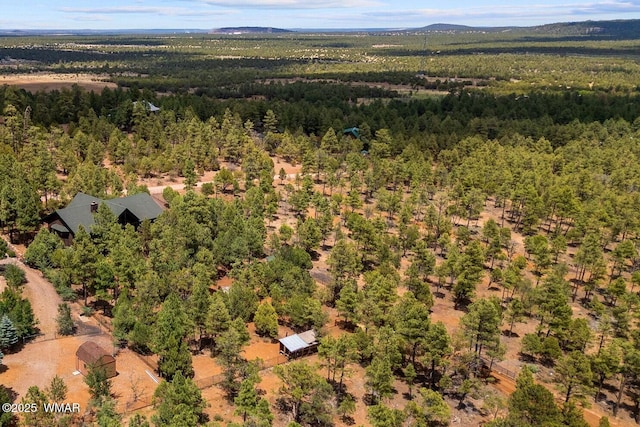 2581 Tall Pine Rd, Show Low, AZ 85901 - photo 11