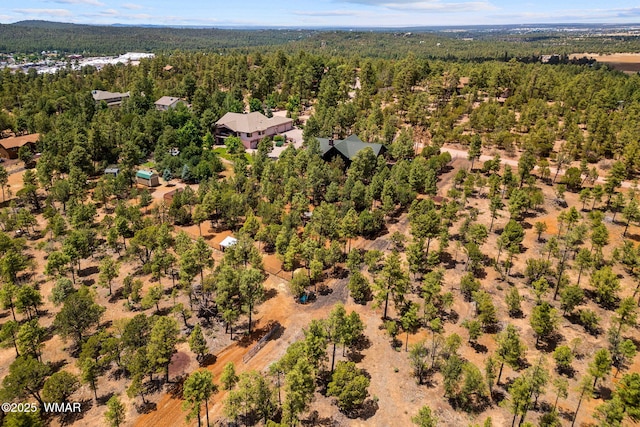 2581 Tall Pine Rd, Show Low, AZ 85901 - photo 5