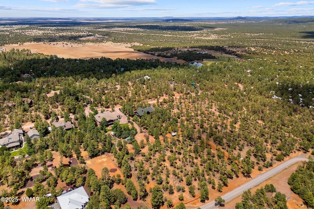 2581 Tall Pine Rd, Show Low, AZ 85901 - photo 7