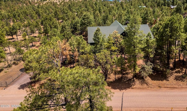 2581 Tall Pine Rd, Show Low, AZ 85901 - photo 3