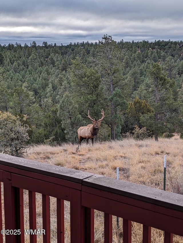 2901 Ridge Cir, Overgaard, AZ 85933 - view of yard featuring a view of trees