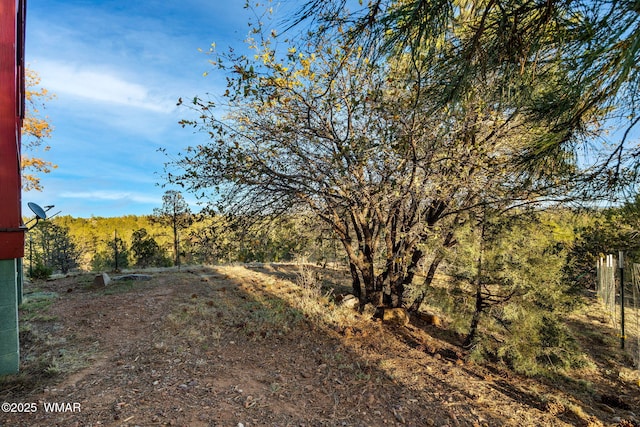 2901 Ridge Cir, Overgaard, AZ 85933 - view of yard