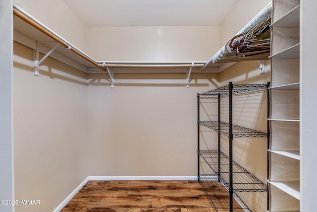 walk in closet featuring wood finished floors