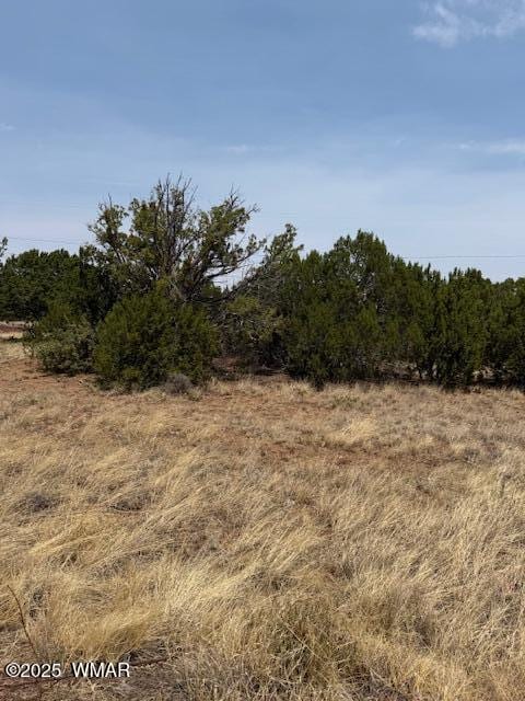 8700 Silver Creek Dr, Show Low, AZ 85901 - photo 2