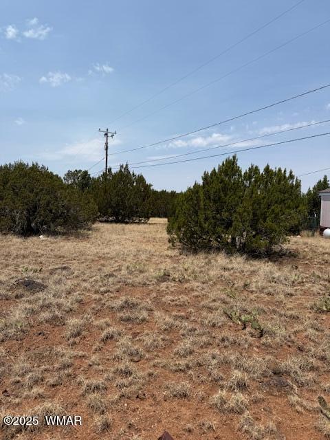 8700 Silver Creek Dr, Show Low, AZ 85901 - photo 6