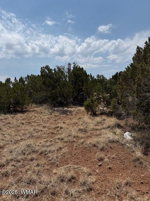 8700 Silver Creek Dr, Show Low, AZ 85901 - photo 7