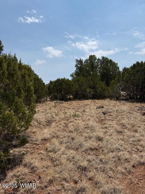 8700 Silver Creek Dr, Show Low, AZ 85901 - photo 3