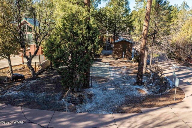 2361 E Bulldog Ln, Show Low, AZ 85901 - photo 11