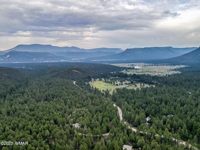 mountain view with a forest view