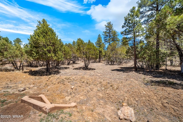 4490 W Hawthorn Rd, Show Low, AZ 85901