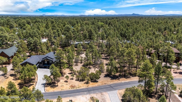 4490 W Hawthorn Rd, Show Low, AZ 85901