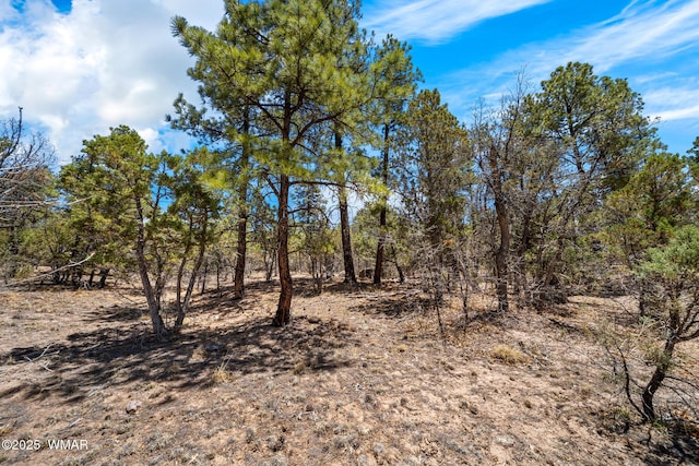 4490 W Hawthorn Rd, Show Low, AZ 85901