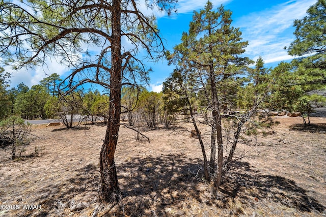 4490 W Hawthorn Rd, Show Low, AZ 85901