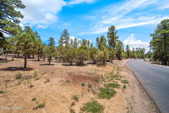 4490 W Hawthorn Rd, Show Low, AZ 85901