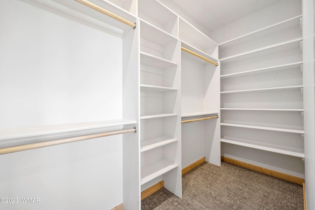 spacious closet with carpet flooring