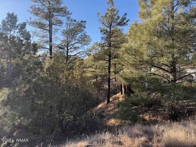 2561 W Rogers Cir, Show Low AZ, 85901 land for sale