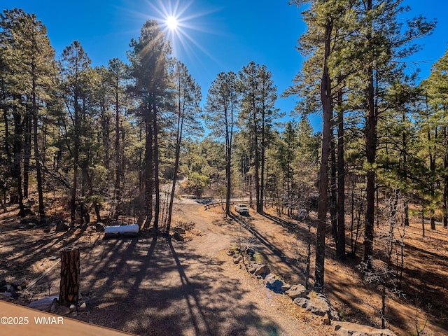 312 W Pine Shadow Dr, Lakeside, AZ 85929 - photo 49