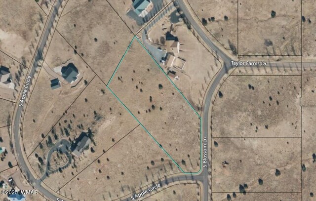 LOT32 Taylor Farms, Taylor, AZ 85939 - photo 6