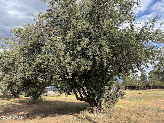 201 E Mcneil, Show Low, AZ 85901 - view of nature