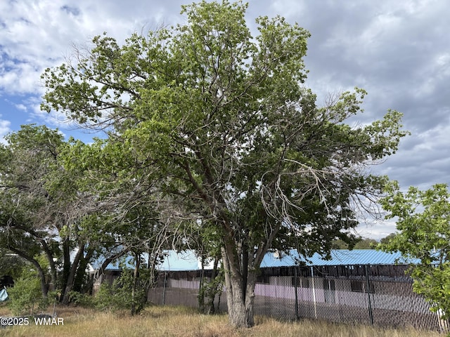 201 E Mcneil, Show Low, AZ 85901 - view of yard