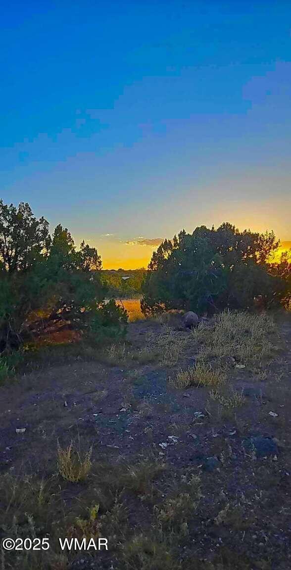 8486 Cannon Blvd, Show Low, AZ 85901