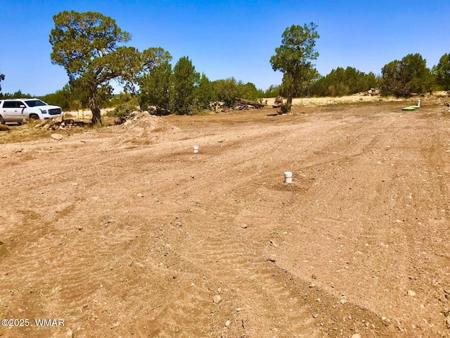 8486 Cannon Blvd, Show Low, AZ 85901