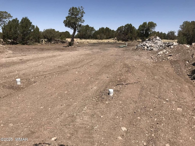 8486 Cannon Blvd, Show Low, AZ 85901
