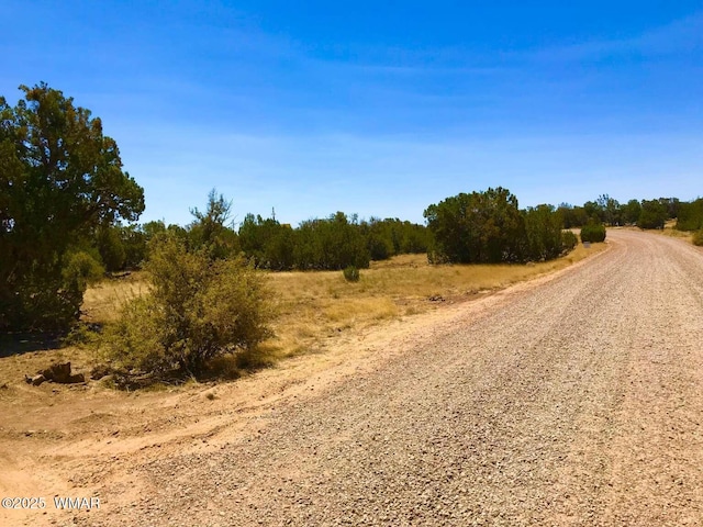 8486 Cannon Blvd, Show Low, AZ 85901