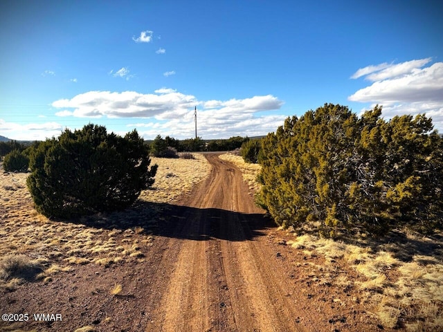 1782 County Road 3140, Vernon AZ, 85940 land for sale