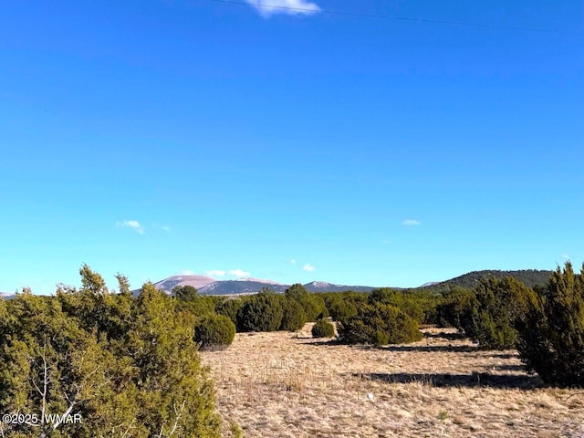 Listing photo 2 for 1782 County Road 3140, Vernon AZ 85940