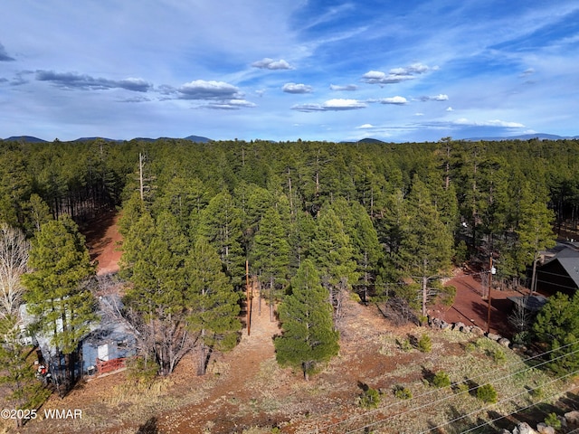 6025 Buck Springs Rd, Pinetop, AZ 85935