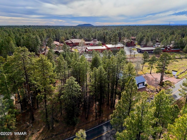 6025 Buck Springs Rd, Pinetop, AZ 85935