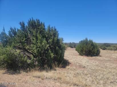 8435 Lake View Dr, Show Low, AZ 85901