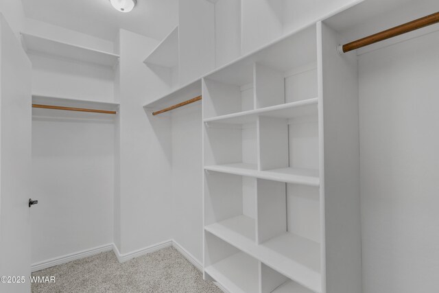 3401 W Hansen, Show Low, AZ 85901 - spacious closet with carpet floors