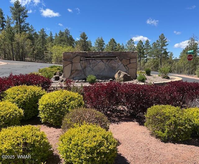 1491 W Snow Creek Trl, Show Low, AZ 85901 - photo 41
