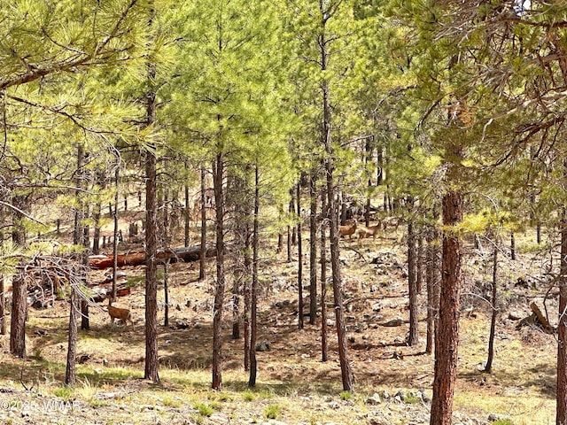 PAR007H Chevelon Rd, Heber, AZ 85928 - photo 5