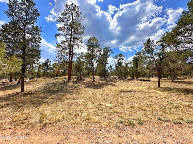 PAR007H Chevelon Rd, Heber, AZ 85928 - photo 3
