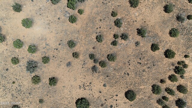 2410 Old Woodruff Rd, Snowflake, AZ 85937 - photo 10