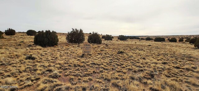 1581 W Harvest Ct, Taylor, AZ 85939 - photo 1