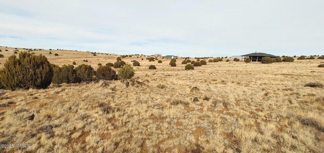 1581 W Harvest Ct, Taylor, AZ 85939 - photo 6